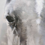 Paintings Of Horses Heads Modern Horse Art Black And White Horse Paintings For Sale