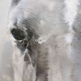 Paintings Of Horses Heads Modern Horse Art Black And White Horse Paintings For Sale