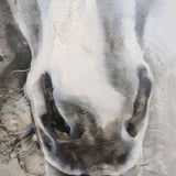 Paintings Of Horses Heads Modern Horse Art Black And White Horse Paintings For Sale
