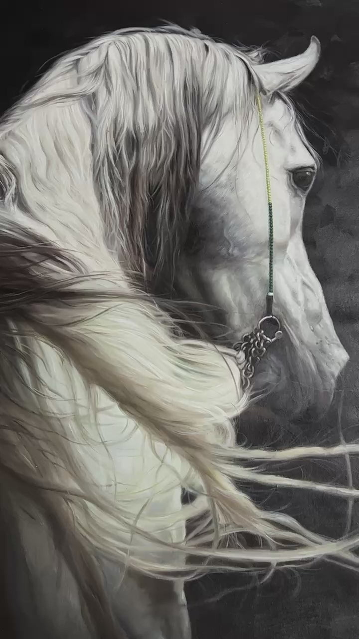 Large White Horse Oil Painting Wild Horse Canvas Art Black and White Horse Painting For Sale